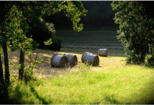 baler twine